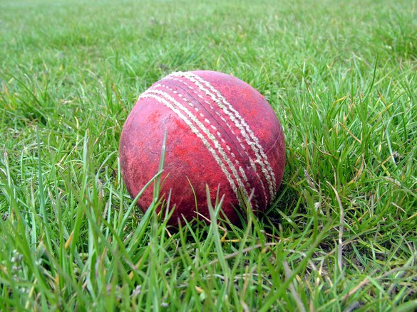 Cricket Ball in Grass
